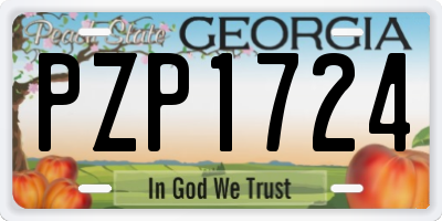 GA license plate PZP1724