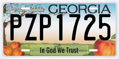 GA license plate PZP1725