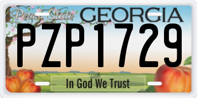GA license plate PZP1729