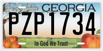 GA license plate PZP1734