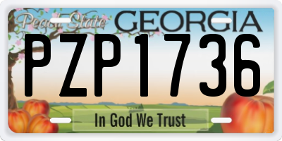 GA license plate PZP1736