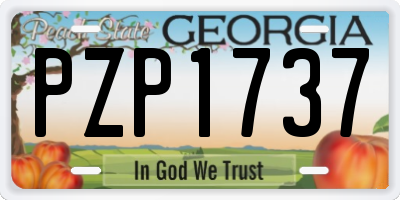 GA license plate PZP1737