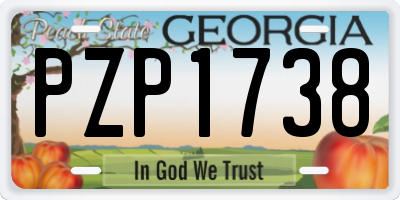 GA license plate PZP1738