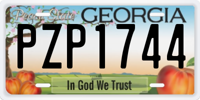 GA license plate PZP1744