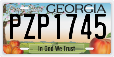 GA license plate PZP1745