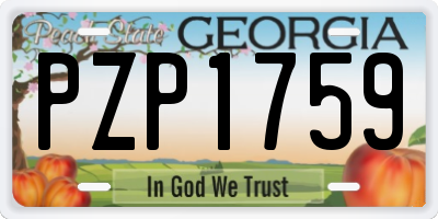GA license plate PZP1759