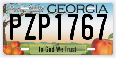 GA license plate PZP1767