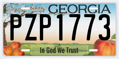 GA license plate PZP1773