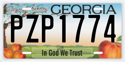 GA license plate PZP1774