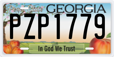 GA license plate PZP1779