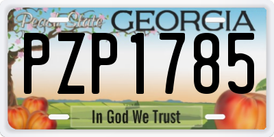 GA license plate PZP1785