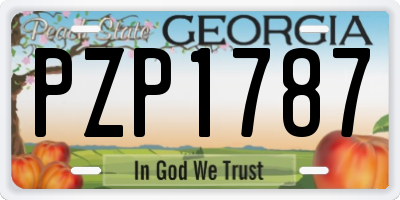 GA license plate PZP1787