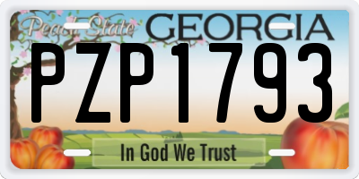GA license plate PZP1793