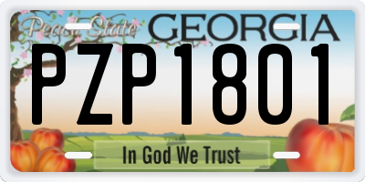 GA license plate PZP1801