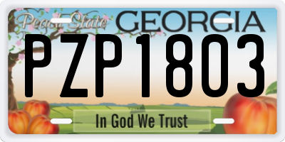 GA license plate PZP1803