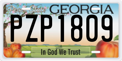 GA license plate PZP1809