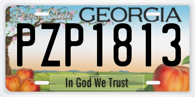 GA license plate PZP1813