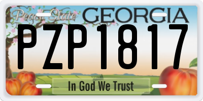 GA license plate PZP1817