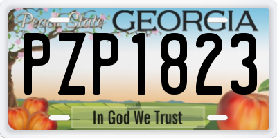 GA license plate PZP1823
