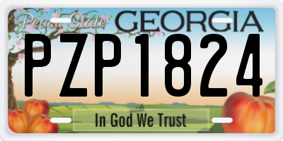 GA license plate PZP1824