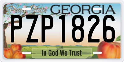 GA license plate PZP1826