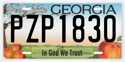 GA license plate PZP1830