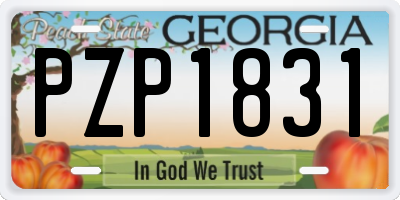 GA license plate PZP1831