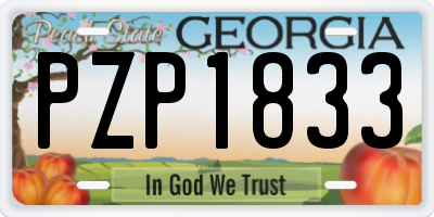 GA license plate PZP1833