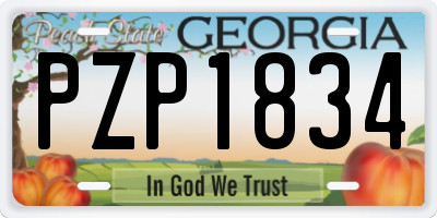 GA license plate PZP1834