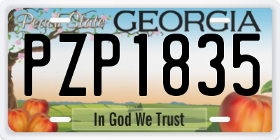 GA license plate PZP1835