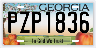 GA license plate PZP1836