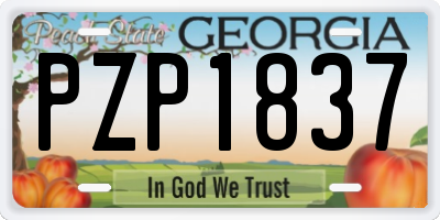 GA license plate PZP1837