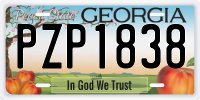 GA license plate PZP1838