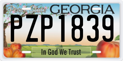 GA license plate PZP1839