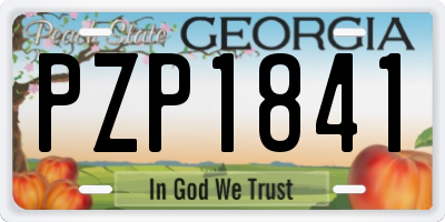 GA license plate PZP1841