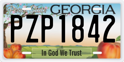GA license plate PZP1842