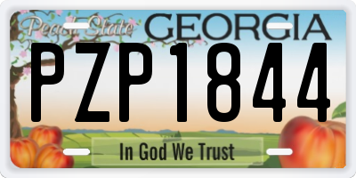 GA license plate PZP1844