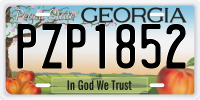 GA license plate PZP1852