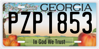 GA license plate PZP1853