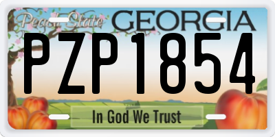 GA license plate PZP1854