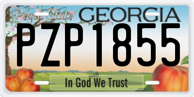 GA license plate PZP1855
