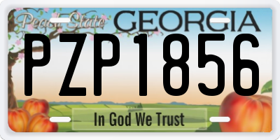 GA license plate PZP1856