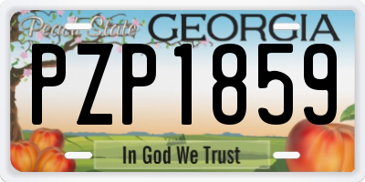 GA license plate PZP1859