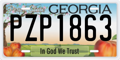 GA license plate PZP1863