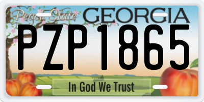 GA license plate PZP1865