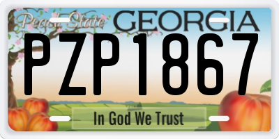 GA license plate PZP1867