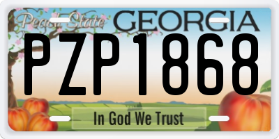 GA license plate PZP1868