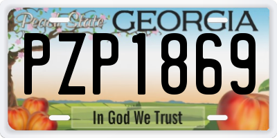 GA license plate PZP1869