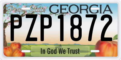 GA license plate PZP1872