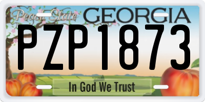 GA license plate PZP1873